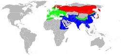Accnis Area Map.PNG